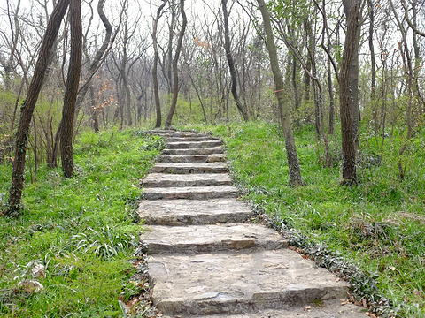 南山旅游景点图片