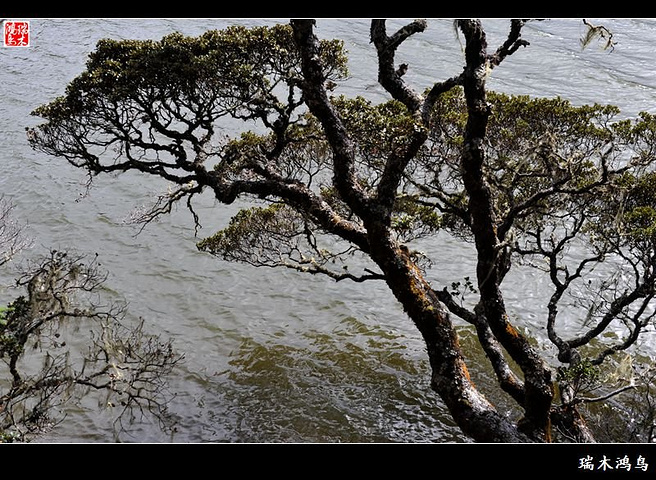 行驶一圈69公里的神话圣地普达措国家公园。