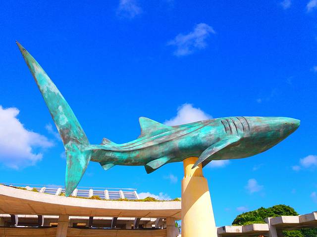 冲绳美丽海水族馆