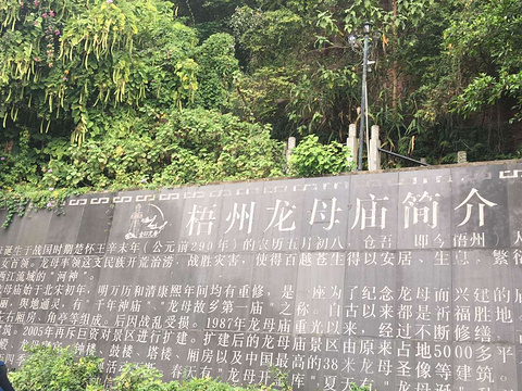 2023大竹龙母庙-旅游攻略-门票-地址-问答-游记点评,岑溪旅游旅游景点