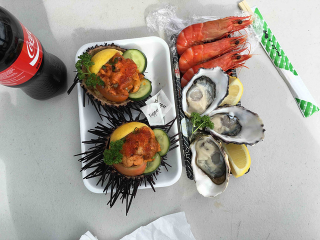 今日悉尼上有很多短租房 唐人街附近的也不少