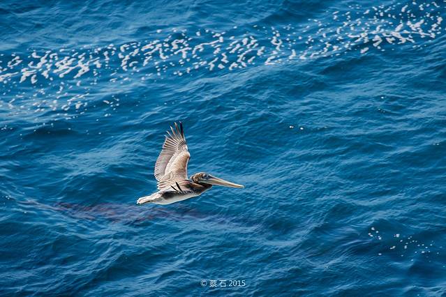 洛博斯角州立保护区