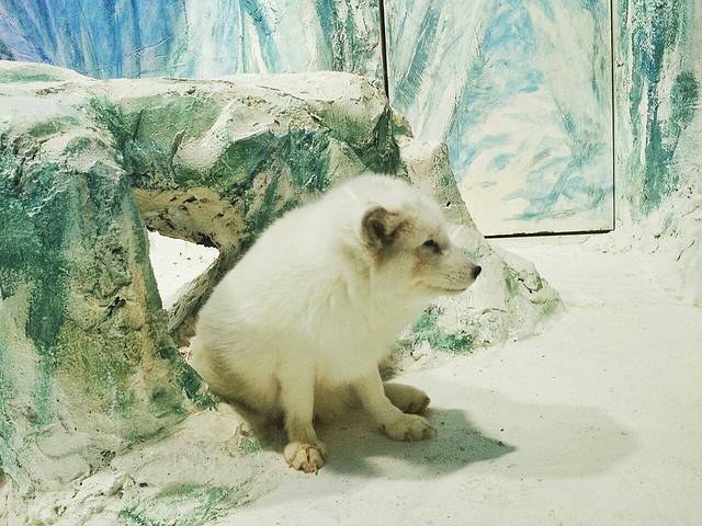 哈尔滨极地公园·海洋馆