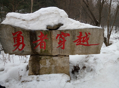 雪乡狗熊岭旅游景点攻略图