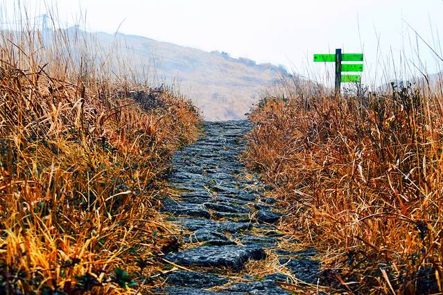 闽江源生态旅游区（金铙山风景区）