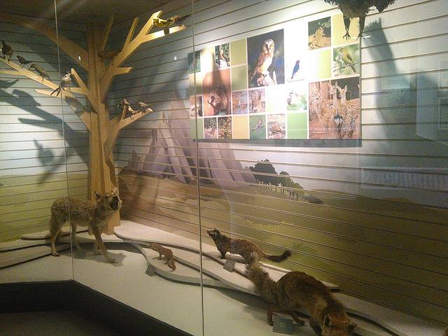 泰山地质公园博物馆