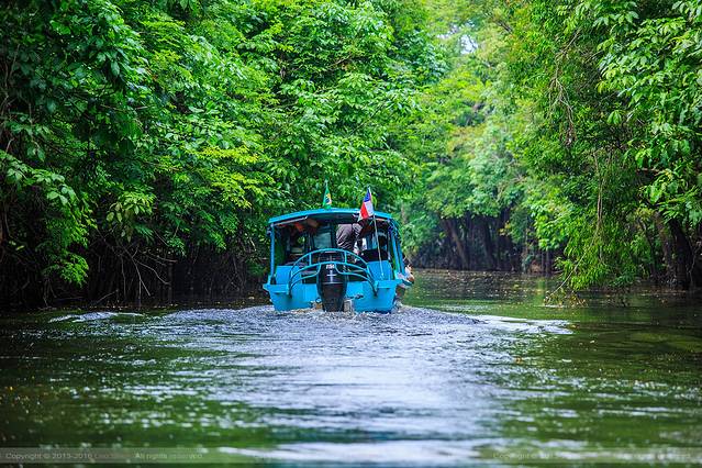 疯狂的巴西 里约奥运大冒险