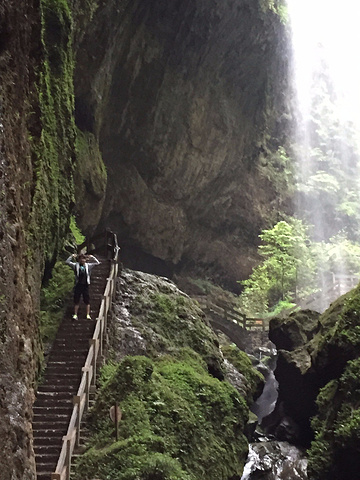 "地缝可以看到很多悬崖峭壁和通往地下的石缝，整个景区比天坑要昏暗一些，也更阴冷，但个人认为景色有..._小寨天坑风景区"的评论图片