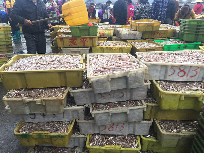 防城港必吃十大美食 (防城港必吃十大水果)