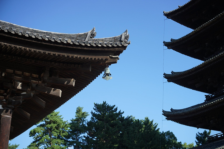 开始进入鹿的地盘_兴福寺"的评论图片