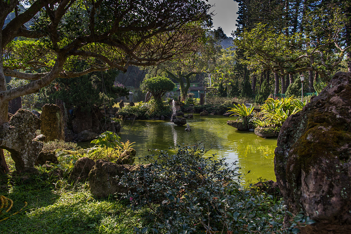 2019士林官邸游玩攻略,售票时间为上午9:30,非