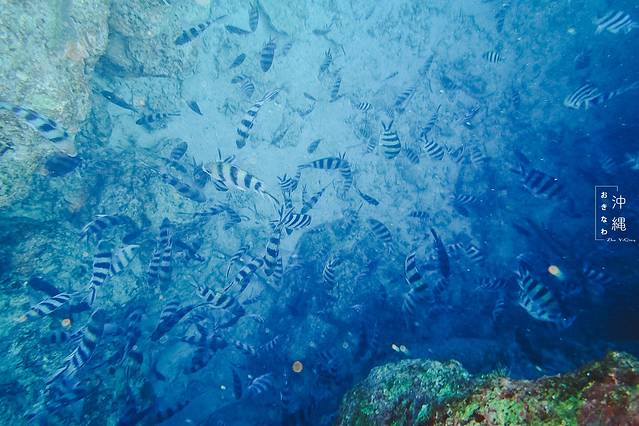 Blue Holic青之洞窟