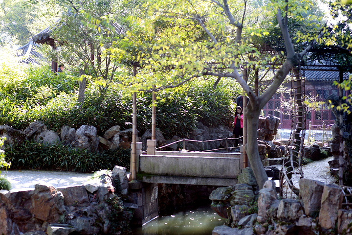 2017你会发现白白的墙壁上满是古声古色的名家诗词歌赋等等,或是人物简介,或是园林游记,有兴趣的可以驻足品味_拙政园评论 - 去哪儿攻略社区