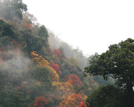 二郎山隧道旅游景点攻略图