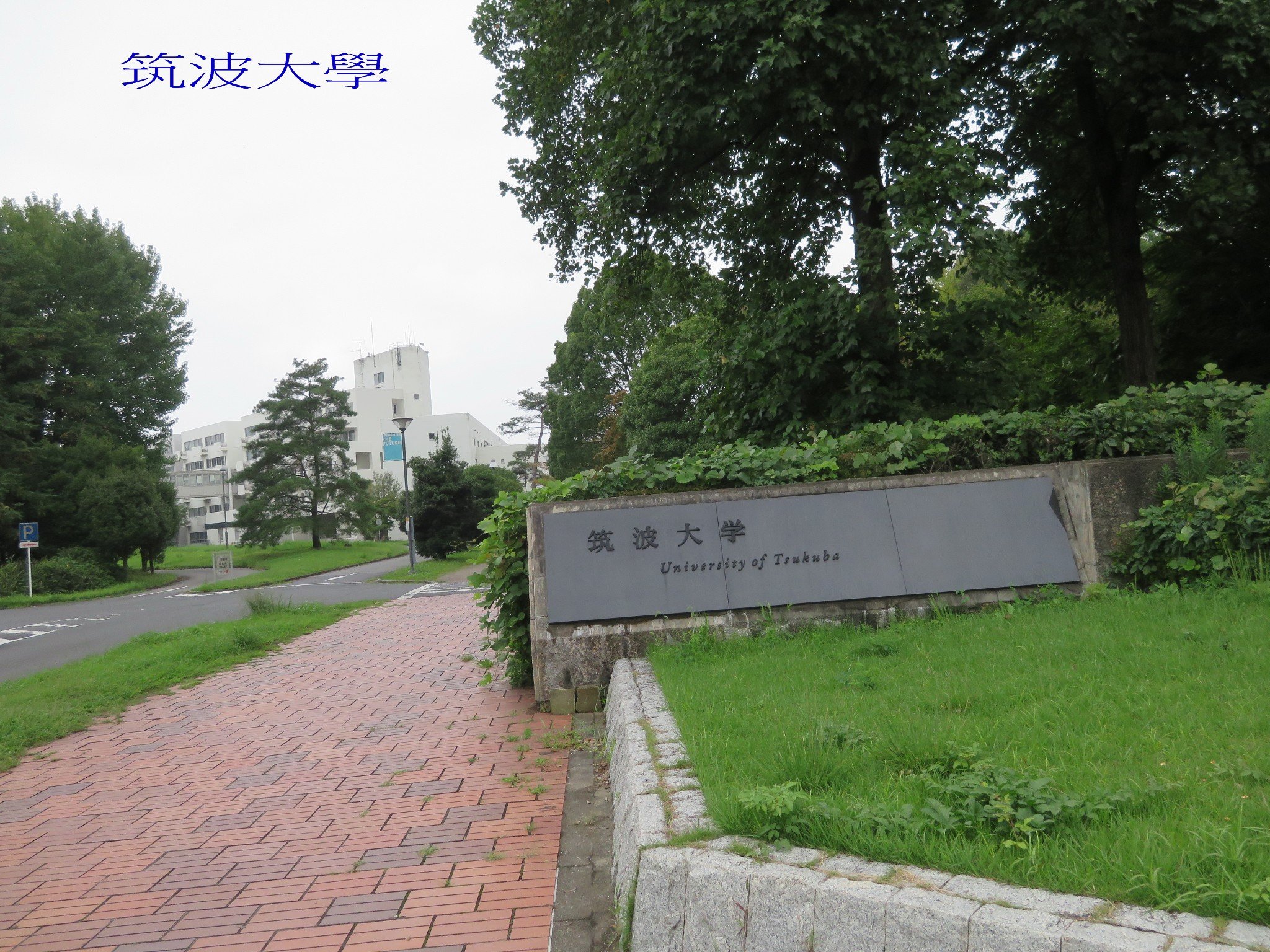 15年秋季旅 東京及週邊 东京旅游攻略 游记 去哪儿攻略