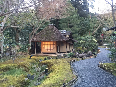 高台寺旅游景点攻略图