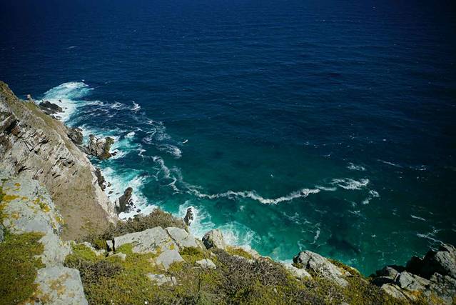 开普敦好望角自然保护区