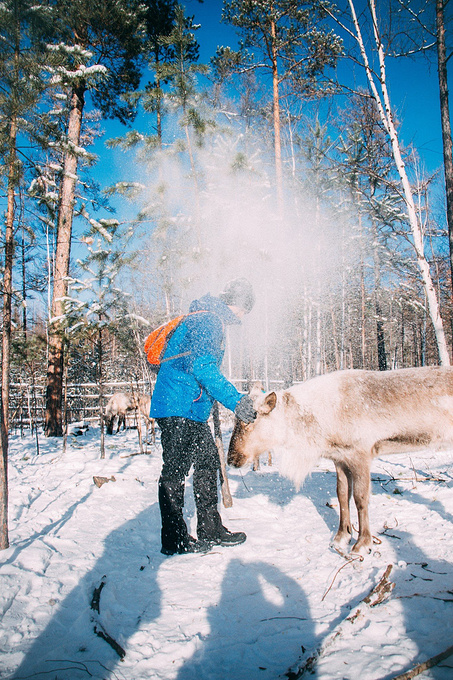 不如一路向北去漠河,过一个零下40℃的冬天