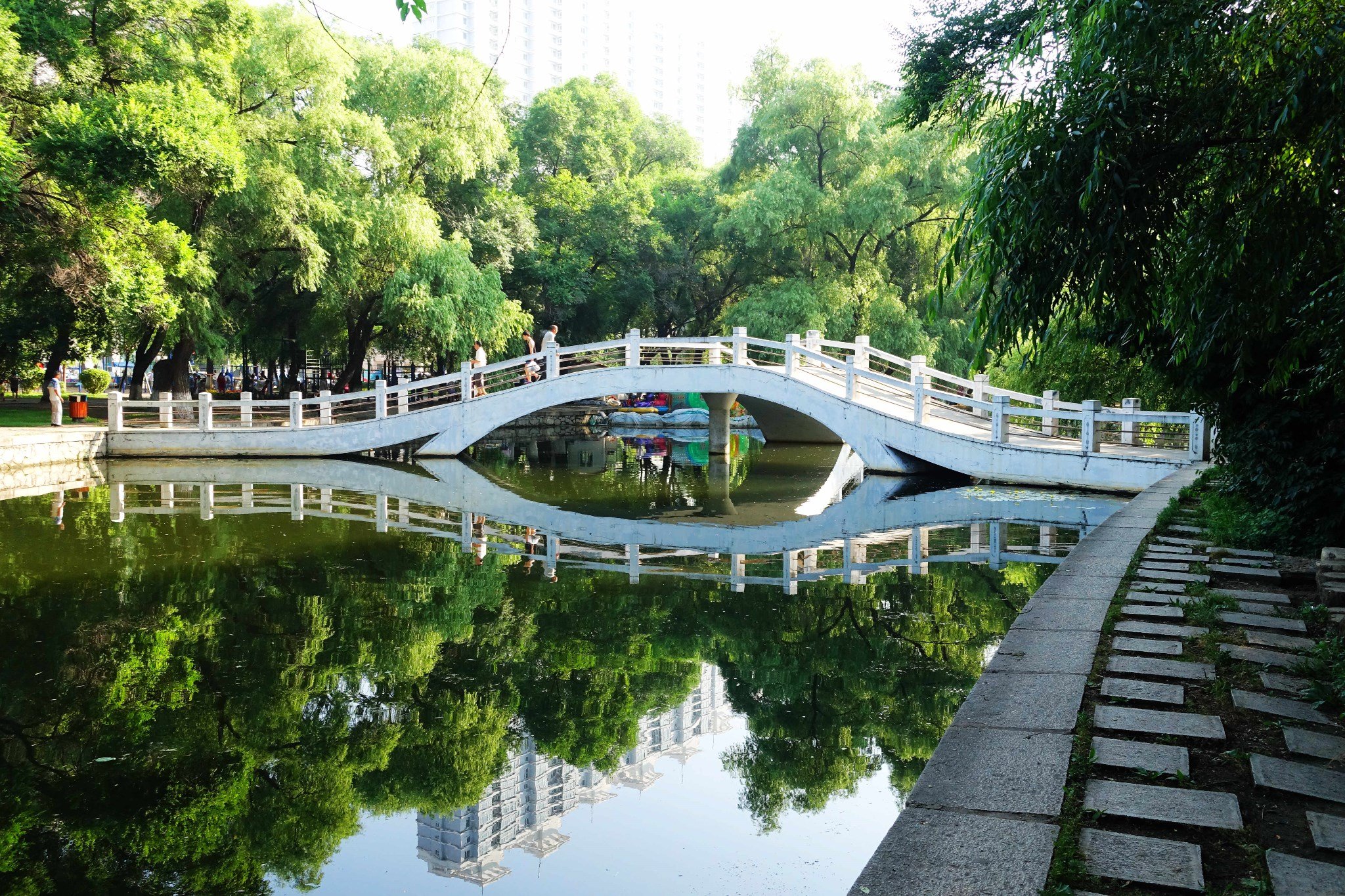 建于1958年的杏林湖公园是佳木斯市市区大型的休闲开放式公园之一.