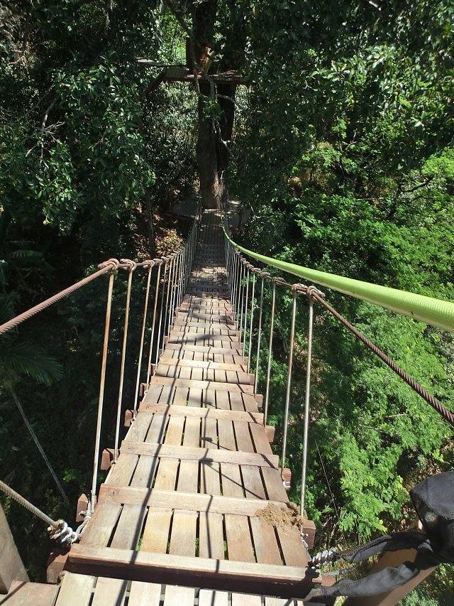 Flying Hanuman丛林飞跃