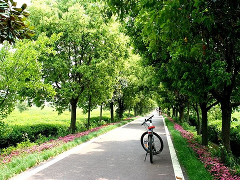 龙池山自行车公园旅游景点图片