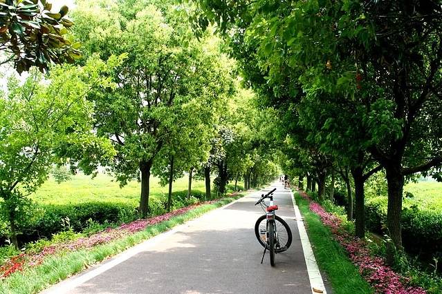 龙池山自行车公园