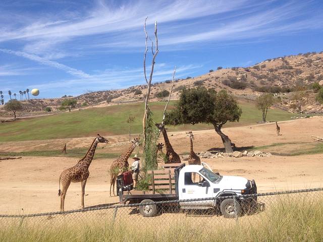 圣地亚哥野生动物园