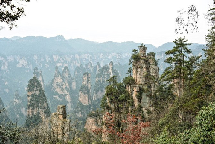 "天子山景区天子山是张家界最早开发出来的景点之一，天子山有着天下峰林“扩大的盆景，缩小的仙境”之称_张家界国家森林公园"的评论图片