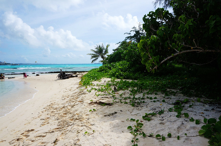 岛上满是浓绿的热带植物,进入岛中央,感觉就像个与世隔绝的小宇宙