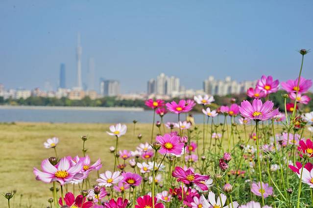 海珠国家湿地公园