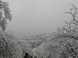 安吉旅游景点攻略图片