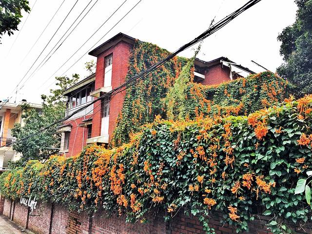 南华路文化吧一条街