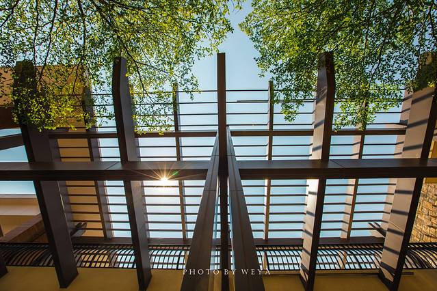 雅居乐清水湾游艇会