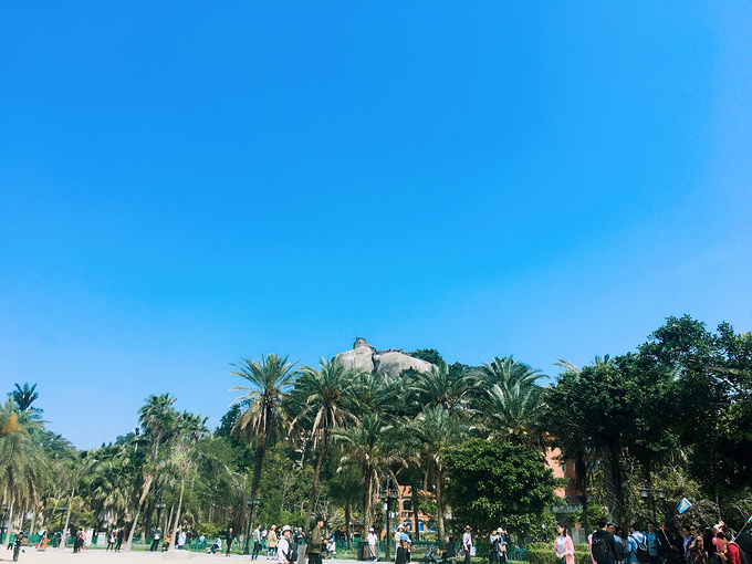 厦门3日游-厦门旅游攻略-游记-去哪儿攻略