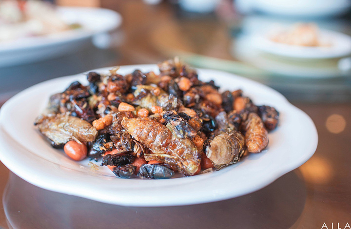 左起第一个最好吃,最后一个爱拉感觉就是臭大姐哈 一顿饭吃