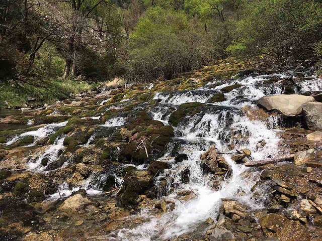 凤凰岛生态旅游区