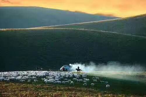 呼伦贝尔草甸草原