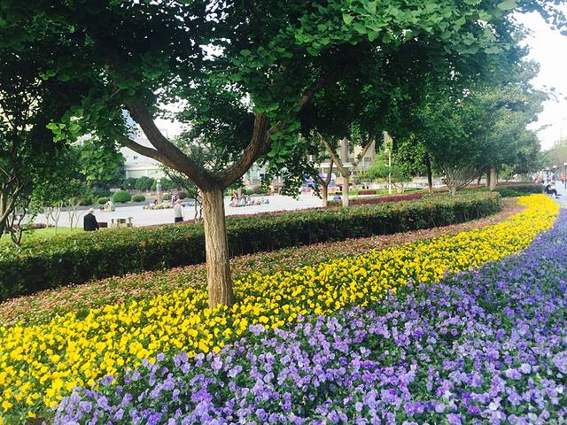 西北湖绿化广场