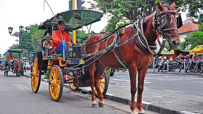 我在印度尼西亚上火山下深海的那些日子日惹布罗莫火山巴厘岛行程分享