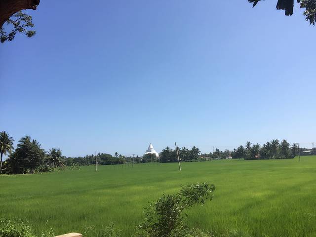 蒂瑟默哈拉默大佛塔