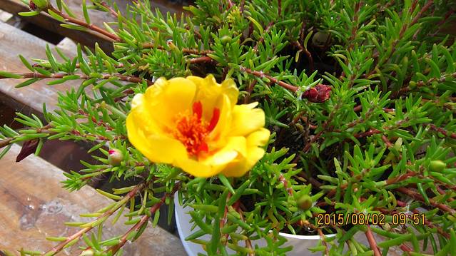 长春客运中心站