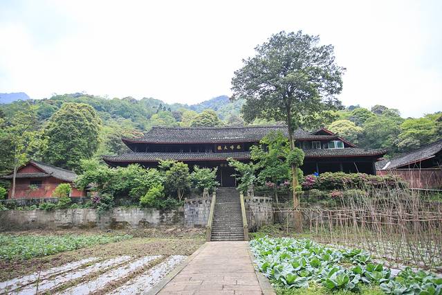 峨眉山中峰寺
