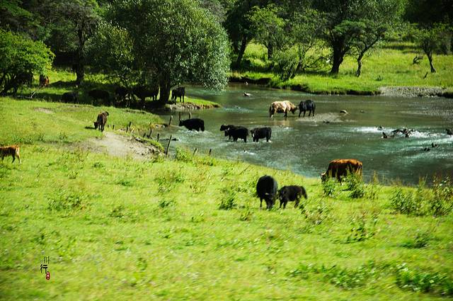 四姑娘山双桥沟景区