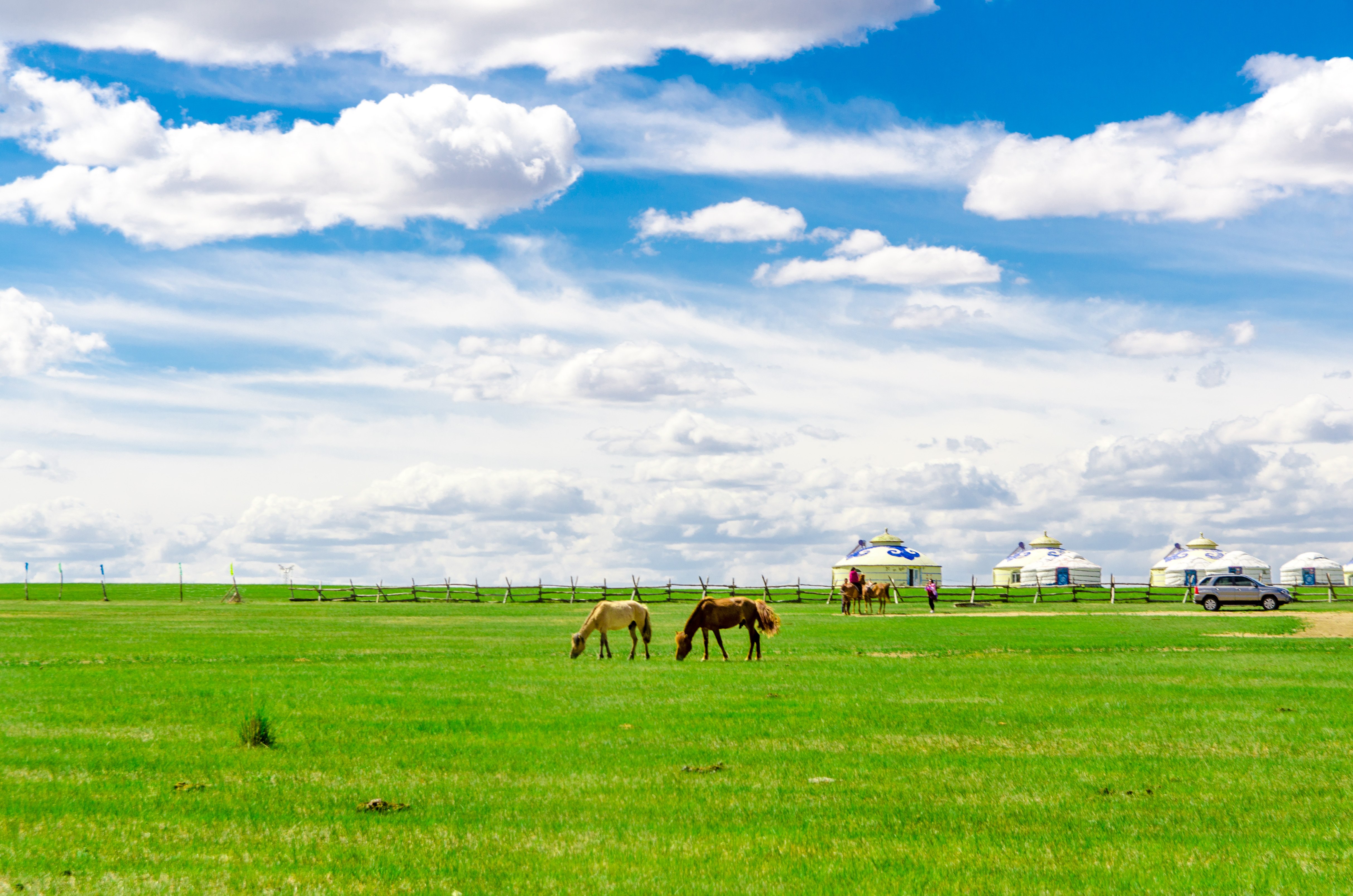 89 首页 坐看云卷云舒,我在锡林郭勒那片草原等你