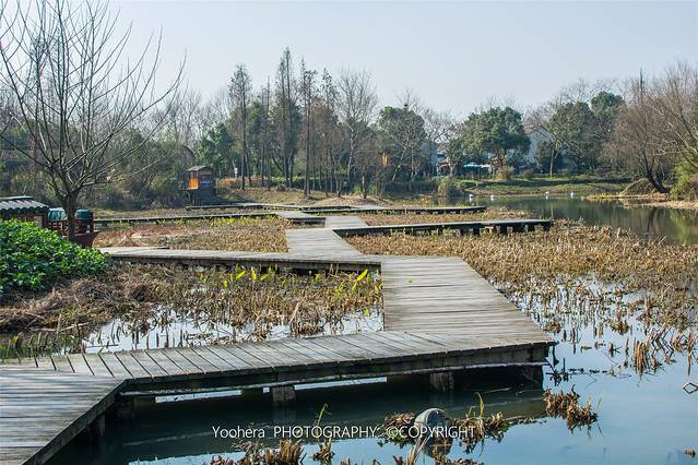 西溪国家湿地公园