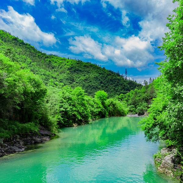 7d9596df3fadb5.jpg_600x600x70_57ac7843.jpg