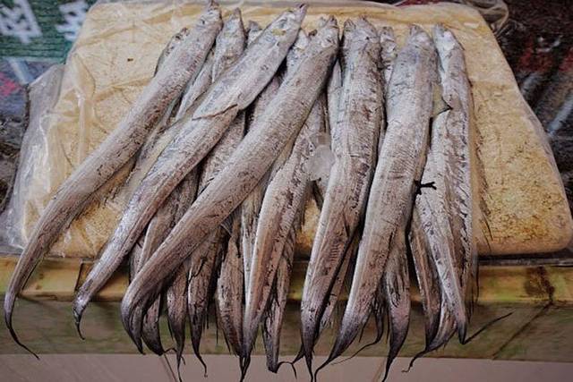 吴家台民俗旅游度假村