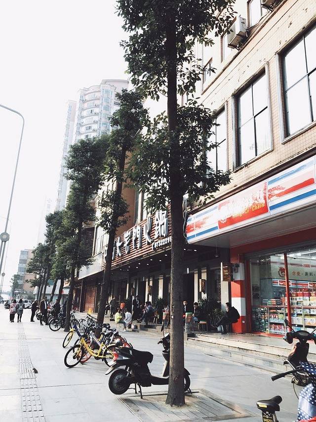 一个人的旅行,行走茶马古道,重庆 色达 新都桥 