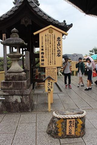 "或许是穿着和服的原因，不少外国友人还主动找我拍照_清水寺"的评论图片