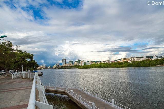 河西红树林公园